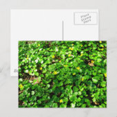 Groen is mooi briefkaart (Voorkant / Achterkant)