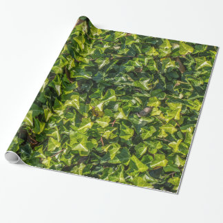 Groen Ivy Wrapping Paper Cadeaupapier