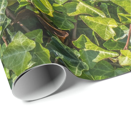 Groen Ivy Wrapping Paper Cadeaupapier (Rol Hoek)