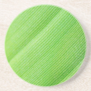 Groen jong bananenblad zandsteen onderzetter