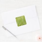 Groen jong tarweveld zonder tekst vierkante sticker (Envelop)