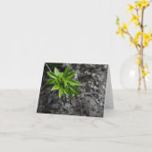 Groen Kaart (Gele Bloem)