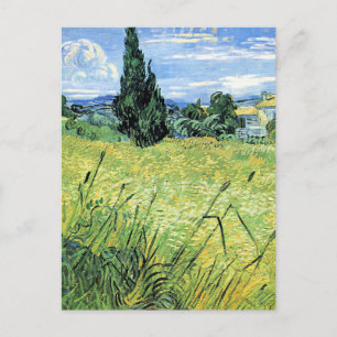 Groen korenveld met cipres, briefkaart