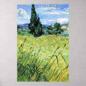 Groen korenveld met cipres, poster (Voorkant)