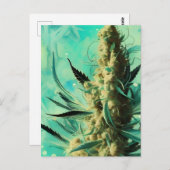 groen kruid briefkaart (Voorkant / Achterkant)