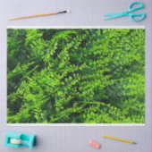 groen laat achtergrond veervuller tissuepapier (Craft)