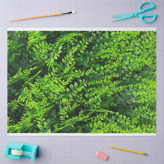 groen laat achtergrond veervuller tissuepapier (Craft)