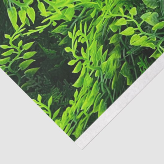 groen laat achtergrond veervuller tissuepapier (Detail)