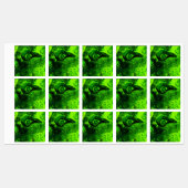 groen labels (Vel)