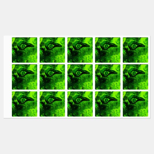 groen labels (Vel)