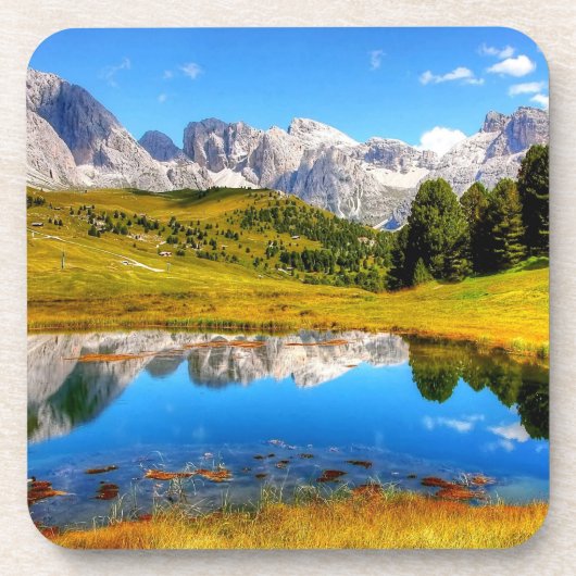 Groen landschap met het Pond- en Snowy-gebergte Bier Onderzetter (Voorkant)