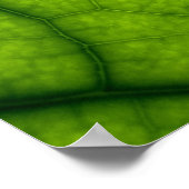 Groen leder met achtergrondverlichting poster (Hoek)