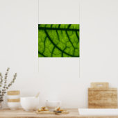 Groen leder met achtergrondverlichting poster (Keuken)