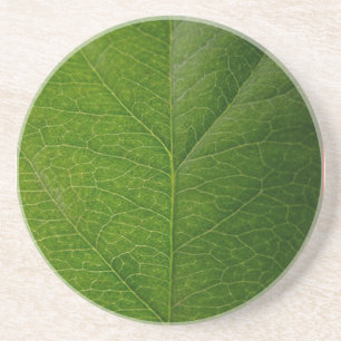 Groen leder zandsteen onderzetter