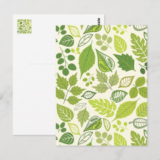 Groen lederen patroon briefkaart (Voorkant / Achterkant)