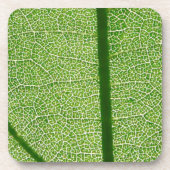 Groen lef dicht drankjes onderzetter (Voorkant)