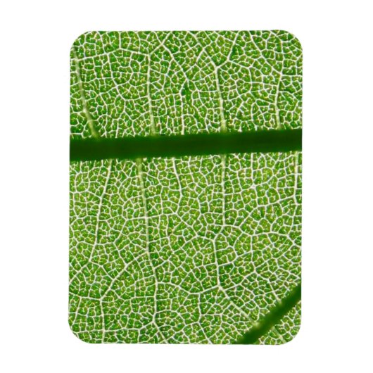 Groen lef dicht magneet (Verticaal)