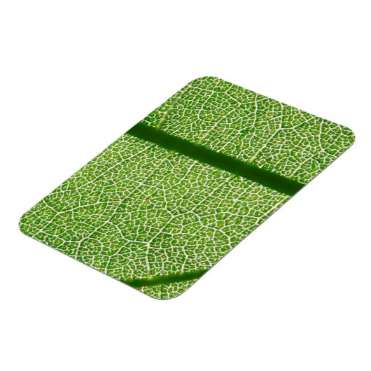 Groen lef dicht magneet (Linkerzijde)