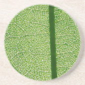 Groen lef dicht zandsteen onderzetter (Voorkant)