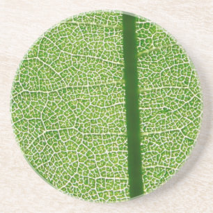 Groen lef dicht zandsteen onderzetter