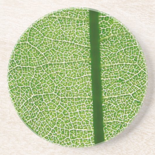 Groen lef dicht zandsteen onderzetter (Voorkant)