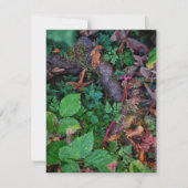 Groen Loof Kaart (Voorkant)