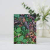 Groen Loof Kaart (Staand voorkant)