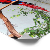 Groen Macaw #2 Poster (Hoek)