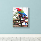 Groen Macaw #3 Canvas Afdruk (Insitu (Houten vloer))