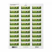 Groen Masker Masker Bal Feest Etiket (Full Sheet)