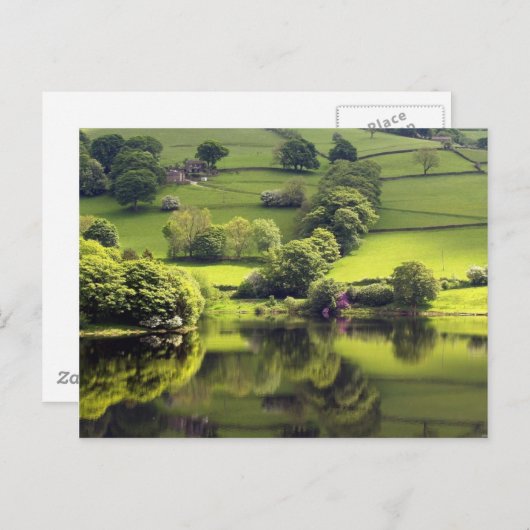 Groen meer briefkaart (Voorkant / Achterkant)