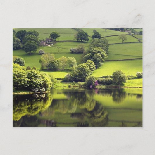 Groen meer briefkaart (Voorkant)