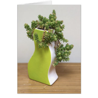 Groen met jaloezie door Succulente Design