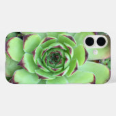 Groen met Paarse Tips Succulent Close-Up Foto Case-Mate iPhone Case (Achterkant (horizontaal))