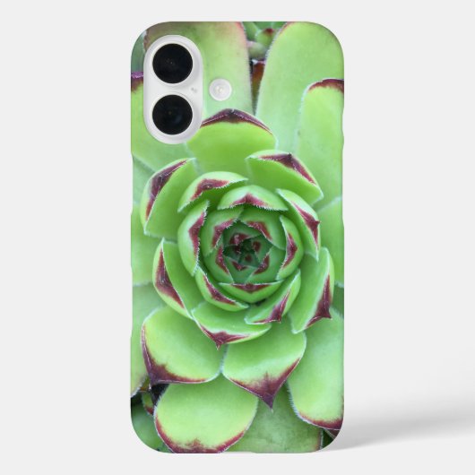 Groen met Paarse Tips Succulent Close-Up Foto Case-Mate iPhone Case (Achterkant)