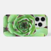 Groen met Paarse Tips Succulent Close-Up Foto iPhone Hoesje (Achterkant horizontaal)
