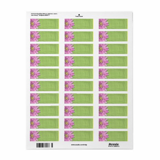 Groen met Roze Daisy Blank Labels (Full Sheet)