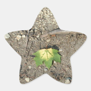Groen minder hergebruik Recyclen Ster Sticker