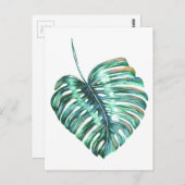 Groen monsterpalm tropisch briefkaart (Voorkant / Achterkant)