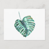 Groen monsterpalm tropisch briefkaart (Voorkant)