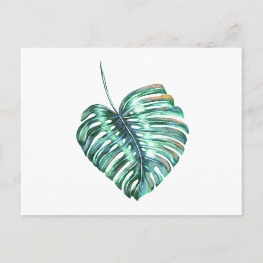 Groen monsterpalm tropisch briefkaart (Voorkant)