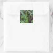 Groen Mos En Varens Vierkante Sticker (Tas)