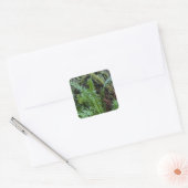 Groen Mos En Varens Vierkante Sticker (Envelop)