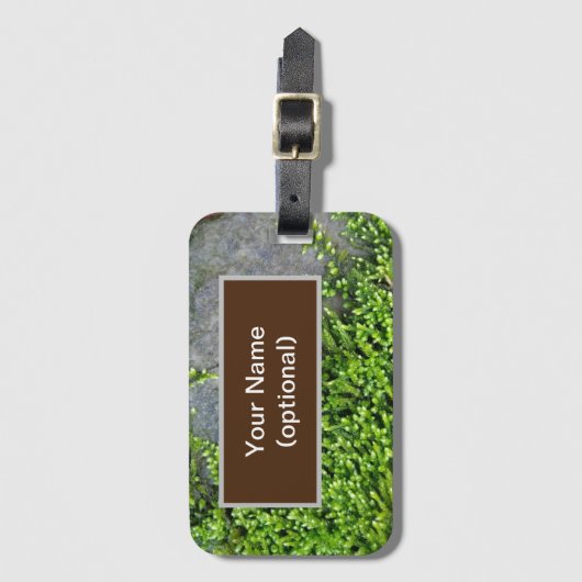 Groen mos Entodon verleidelijk op grijze steen Bagagelabel (Voorkant (verticaal))