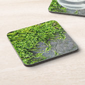 Groen mos Entodon verleidelijk op grijze steen Bier Onderzetter (Linkerzijde)