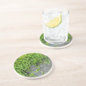 Groen mos Entodon verleidelijk op grijze steen Zandsteen Onderzetter (Zijkant)