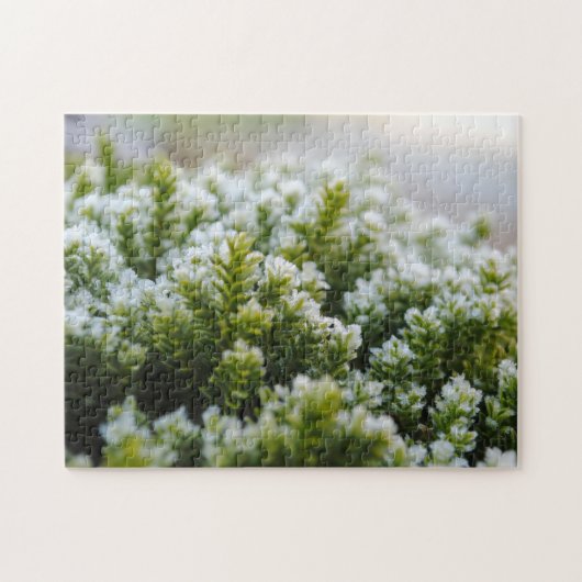 Groen Mos Mooie Frosty Herfst Planten Macro Legpuzzel (Horizontaal)