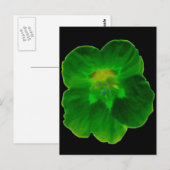 Groen Nasturtium-Briefkaart Briefkaart (Voorkant / Achterkant)