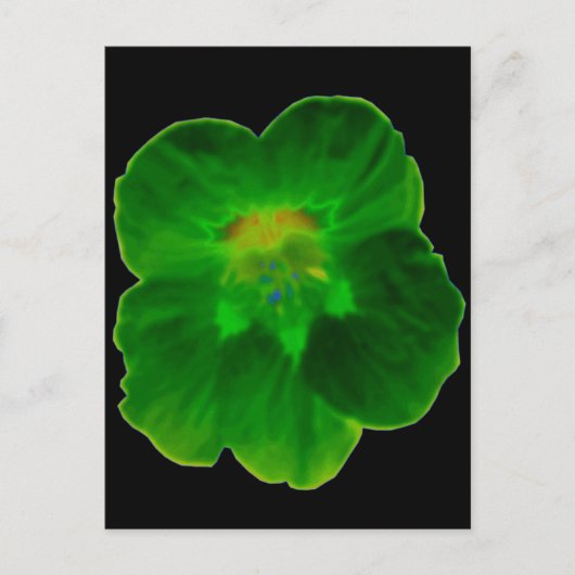 Groen Nasturtium-Briefkaart Briefkaart (Voorkant)