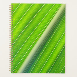 Groen natuurlijk gestreepte patroon planner